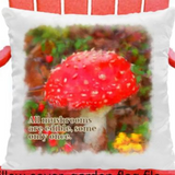 Sublimation Summit Free Swag Sublimation Digital - All Mushrooms Pillow Cover Design