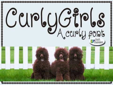 Curly Girls Font ~ A Curly Font