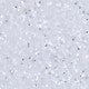 Siser Glitter Heat Transfer Vinyl - White Glitter