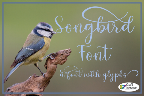 Songbird Font ~ A Font with Glyphs