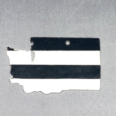 Washington Acrylic Blank State Shape ~ Multiple Sizes