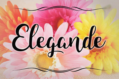 Elegande Font - A Pretty Script Font