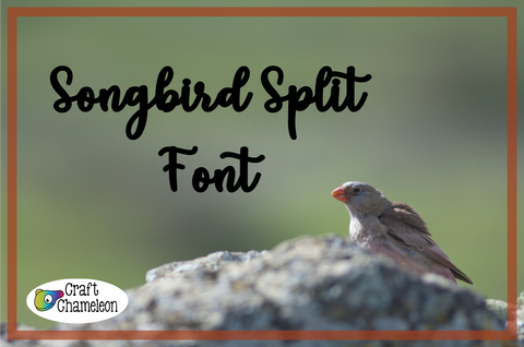 Songbird Split Font